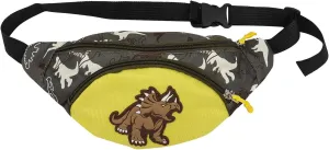 VALICLUD Toddler Fanny Pack Dinosaur Waist Pack for Kids Fanny Pack Boys Girls Kids Belt Bags Belt Bum Bag